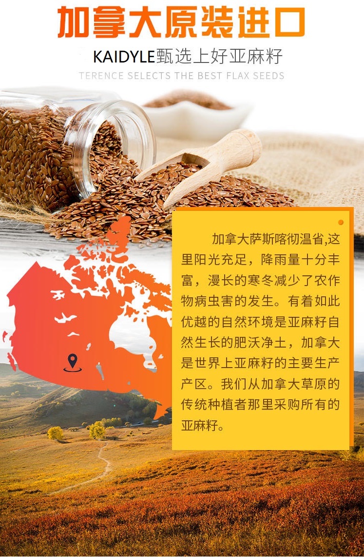 International Trade Solutions